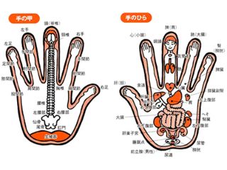 ツボ 一覧 の 手