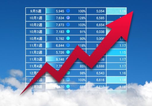 グラフと月の売り上げ表