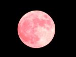 実は恋のキューピッド！？ピンク色と満月がかわいらしいストロベリームーン。