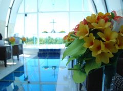 株式会社トニーズコレクションの求人/転職情報