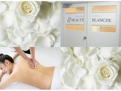 新生ミュゼプラチナム株式会社の求人/転職情報