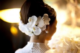 株式会社パラダイス