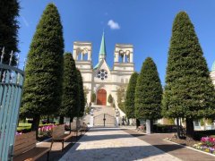 THE BLANK株式会社の求人/転職情報